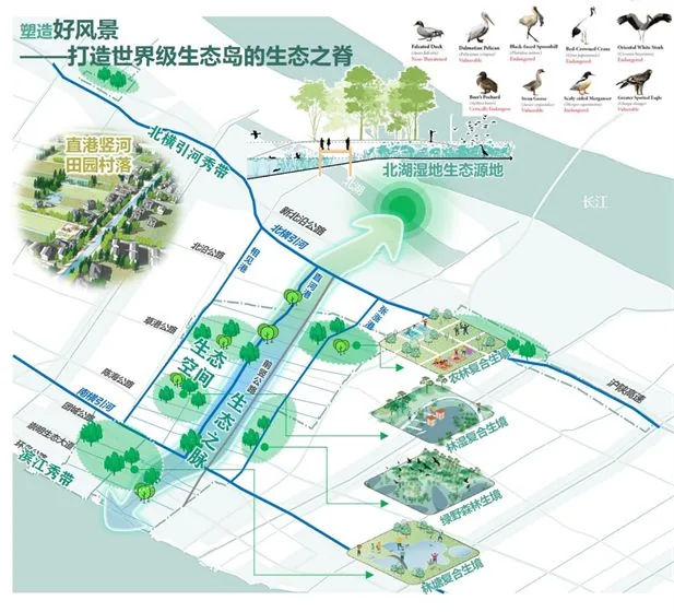 崇明区竖新镇全域土地综合整治试点