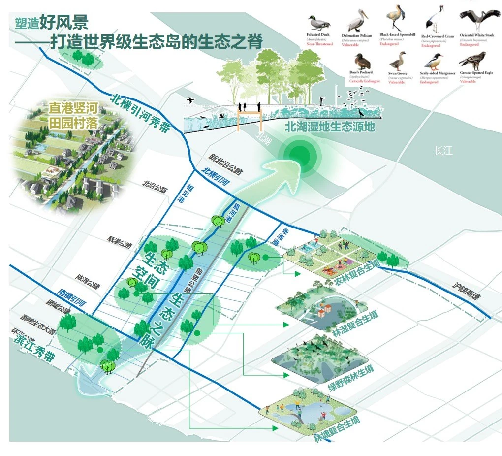 崇明区竖新镇全域土地综合整治试点